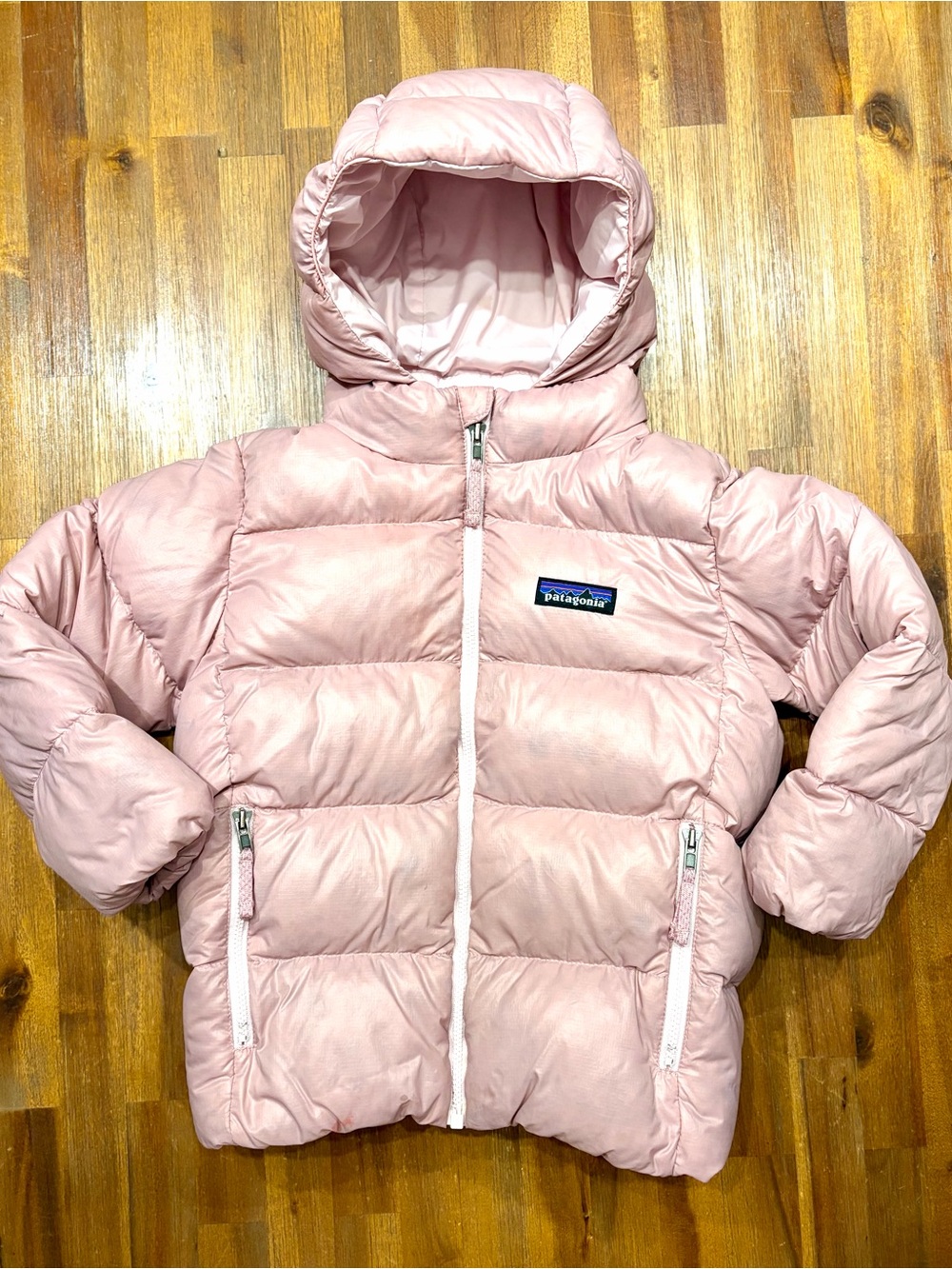 Patagonia Toddler/Kids Hi-Loft Down Sweater Hoody Puffer Jacket